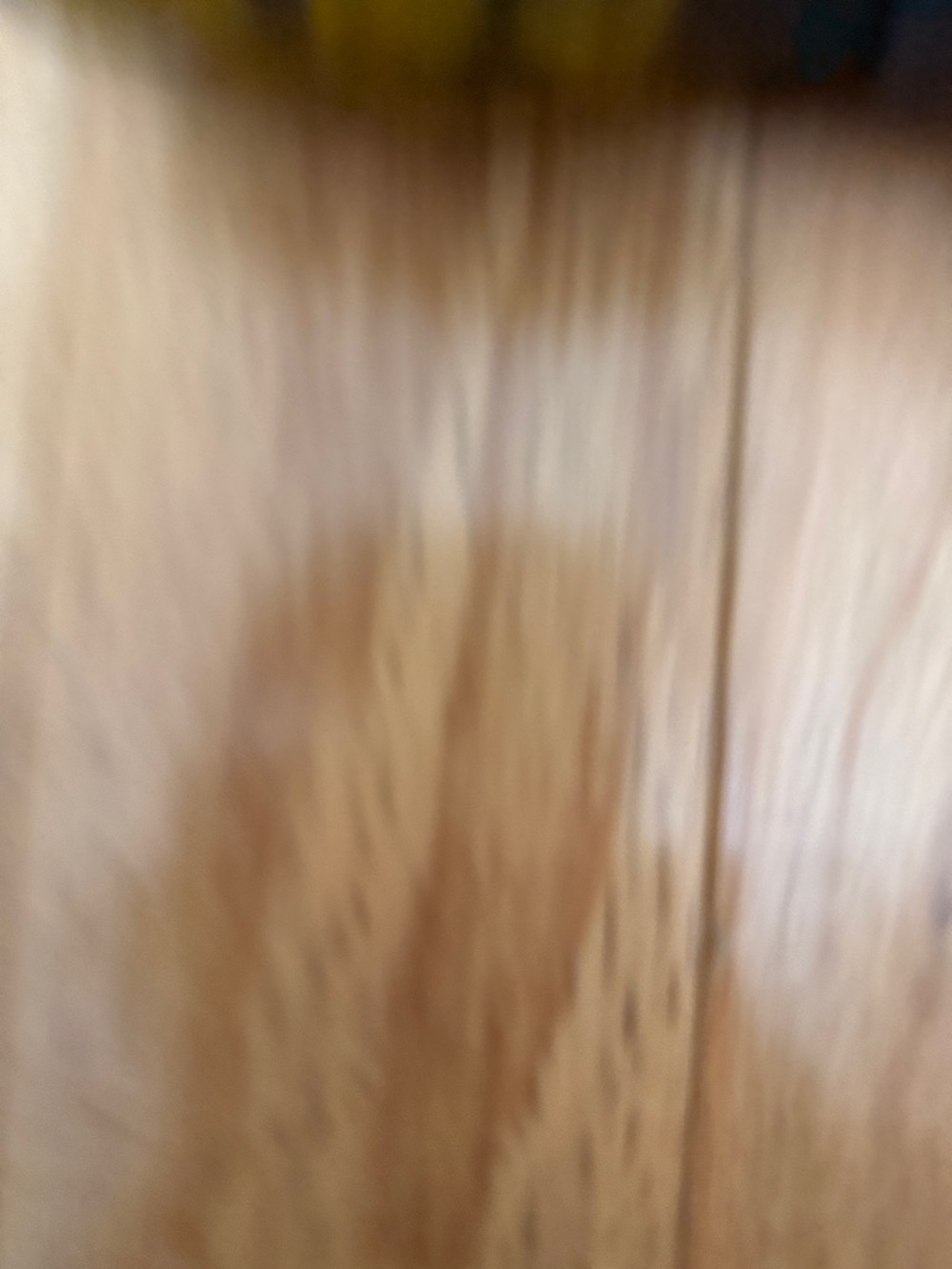 Sam Edelman Yellow and Black Leopard-Print Loafers - Picture 3 of 4